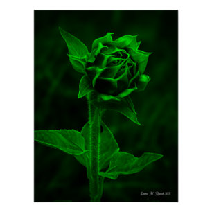 Poster "Bourgeon de tournesol"