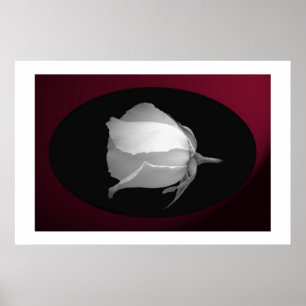 Poster Bourgeon rose (noir et blanc)