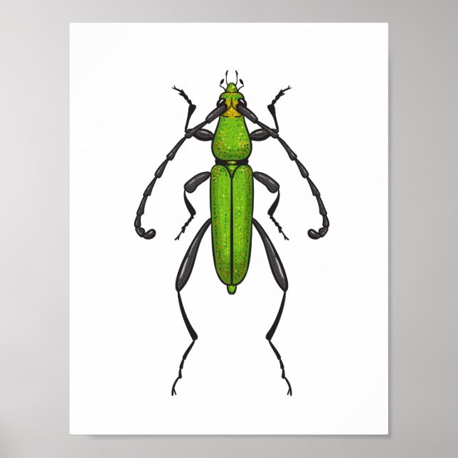 Poster Bousier vert (Devant)