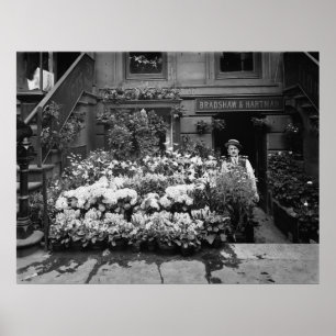 Poster Boutique de fleurs