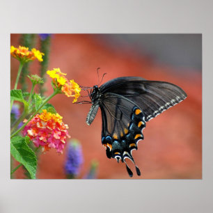 Poster Bouton à épaisse couleur vive