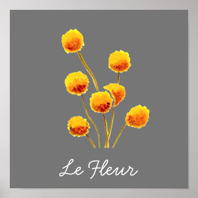 Poster Bouton Billy jaune fleur australienne originaire (Devant)