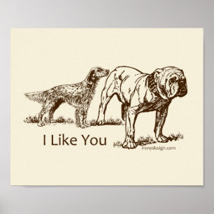 Poster Bouton des nids de chien