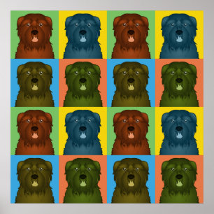 Poster Bouvier des Flandres Dessin de Chien Pop-Art