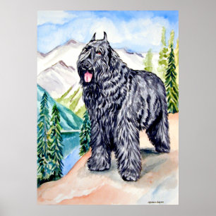 Poster Bouvier des Flandres Imprimer le mur