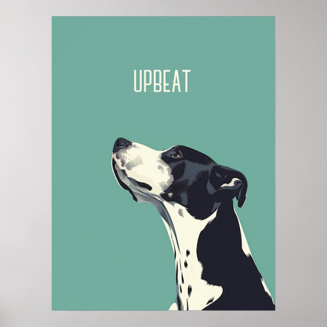 Poster Boxe noire et blanche (Devant)