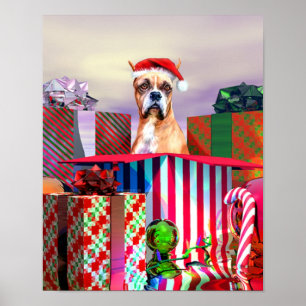 Poster Boxer Noël Surprise