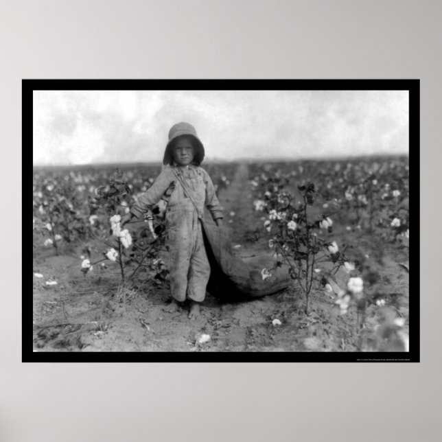 Poster Boy Picking Cotton à Comanche, OK 1916 (Devant)