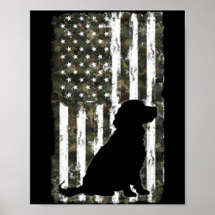 Poster Boykin Spaniel Camouflage Drapeau Américain USA Ch