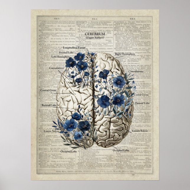 Poster Brain Anatomy Blue Floral Dictionnaire Art (Devant)