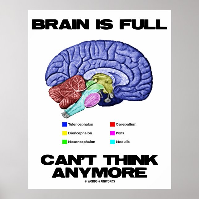 Poster Brain Is (Devant)