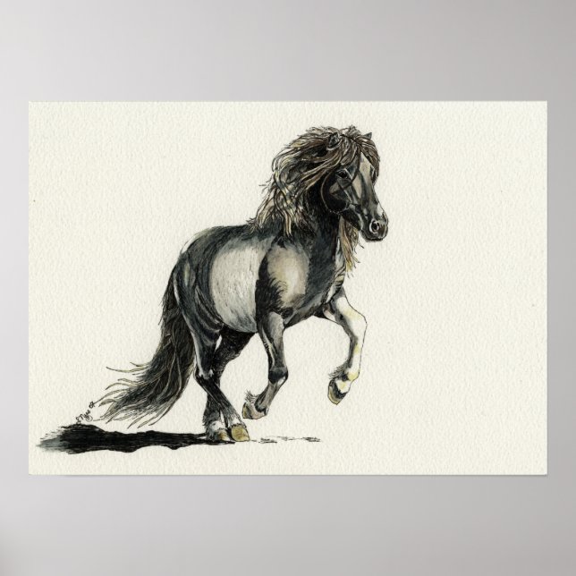 Poster Brana (Devant)