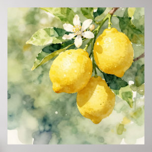 Poster Branche de citron à l'aquarelle Botanique Été