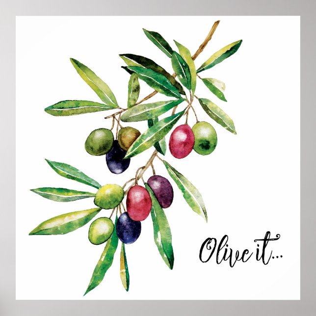 Poster Branche d'olive aquarelle (Devant)
