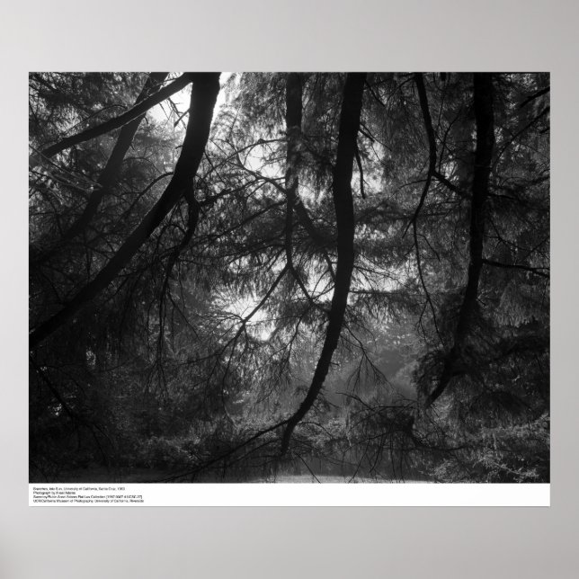 Poster Branches, au soleil, UC Père Noël Cruz, 1963 (Devant)
