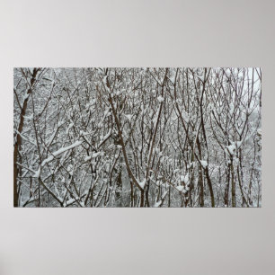 Poster Branches couvertes de neige hiver