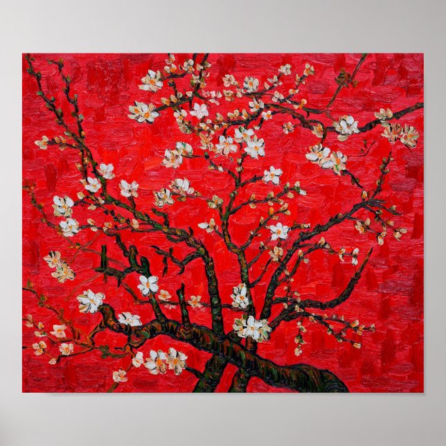 Poster Branches d'Amandiers en Blossom, Van Gogh (Devant)