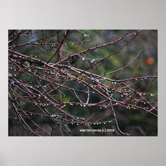 Poster Branches dans la pluie (Devant)