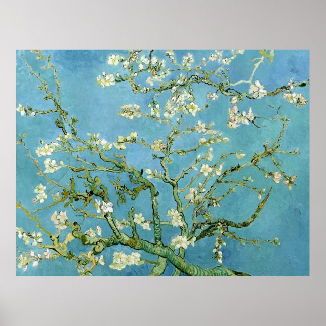 Poster Branches de fleurs d'amandes (F671) Van Gogh Art (Devant)