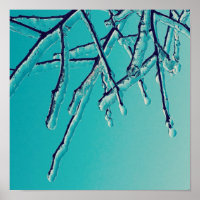branches de glace