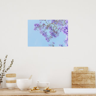 Poster Branches de Jacaranda en Fleurs