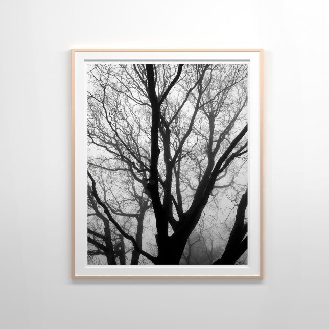 Poster Branches de la photographie du brouillard (Créateur téléchargé)