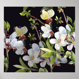 Poster Branches de l'abricot de printemps : Aquarelle tra