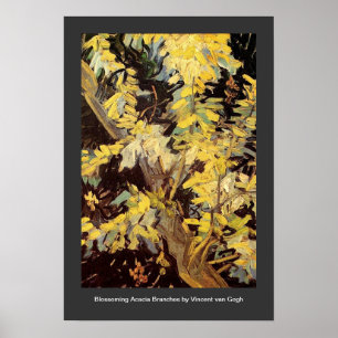 Poster Branches de l'acacia en floraison Vincent van Gogh