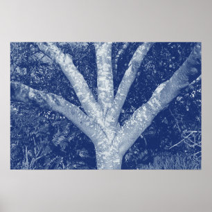 Poster Branches Fourchues - Effet Cyanotype