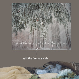 Poster Branches gelées et forêt recouverte de neige