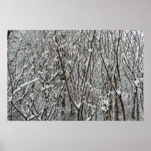 Poster Branches recouvertes de neige Hiver