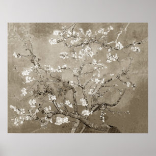 Poster Branches Van Gogh Almond en Bloom - Sepia