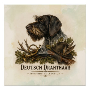 Poster Braque allemand à poil dur – Collection de chasse