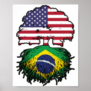 Poster Brésil Brésil Amérique États-Unis drapeau des raci