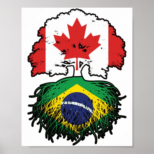 Poster Brésil Brésil Brésil Canada drapeau des racines de (Devant)