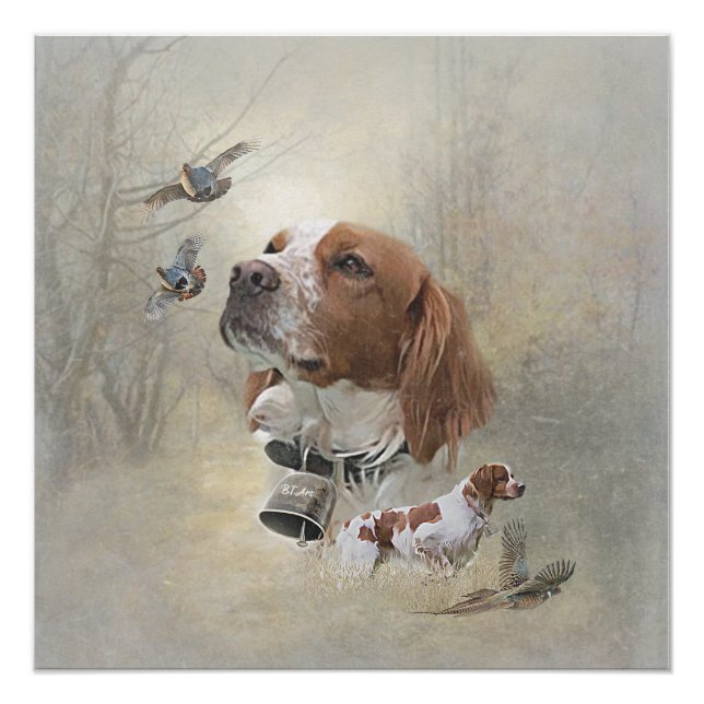 Poster Bretagne française, Art de chasse aux oiseaux (Devant)