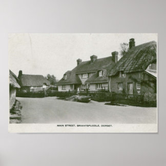 Poster Briantspuddle, Dorset carte postale vintage