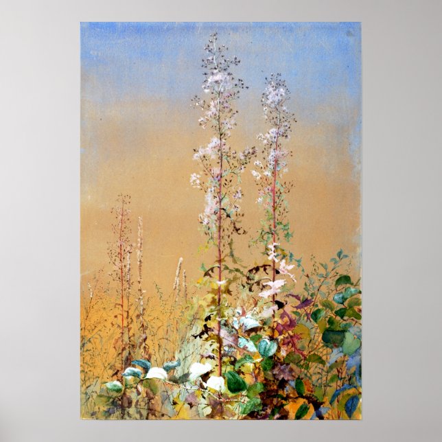 Poster Bridges Fidelia sans titre (Devant)