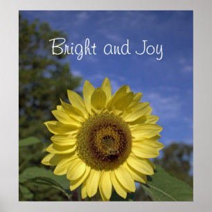 Poster Bright and joy perfect sunflower in blue sky.