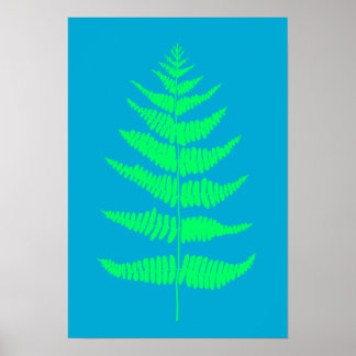 Poster Bright Aqua Blue Fern Plante Imprimer l'affiche