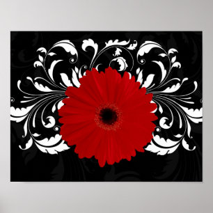 Poster Bright Red Gerbera Daisy on Black