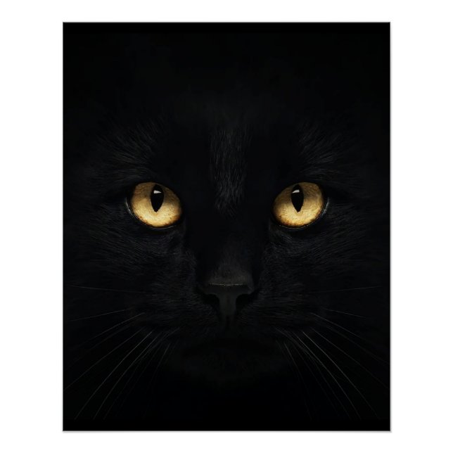 Poster brillant de chat noir (Devant)
