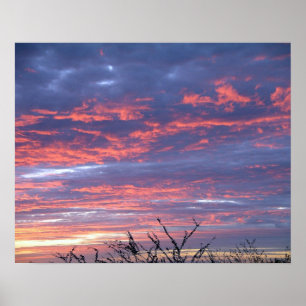 Poster Brilliant Hawaiian rose et Lavender Sunset Sky