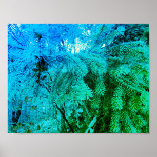 Poster Brindilles d'arbre du sapin gélose glacée magique