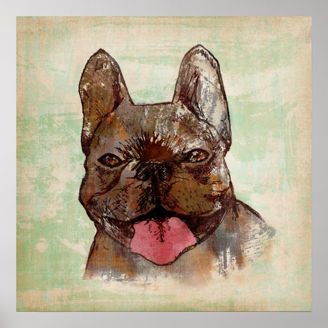 Poster Brindle (Devant)