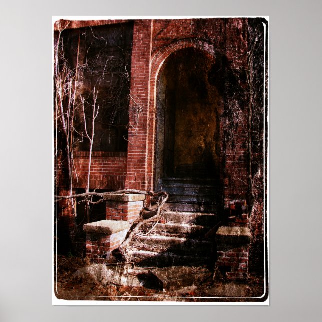 Poster Briques et vignes abandonnées (Devant)