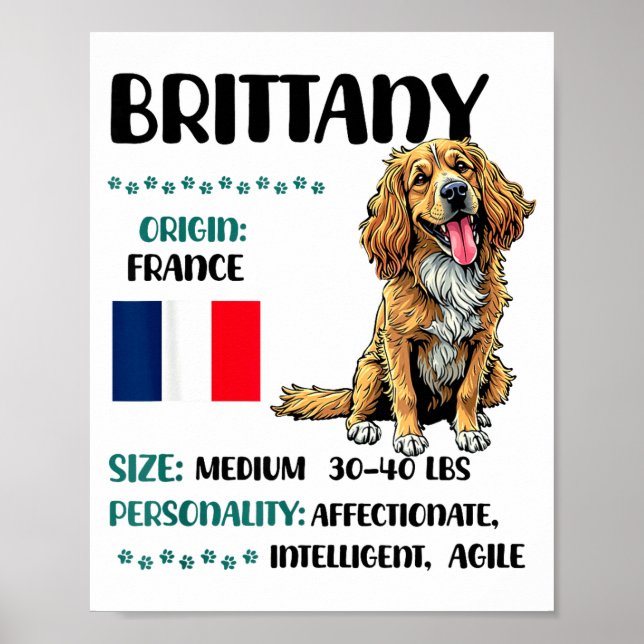 Poster Brittany Origin Funny Brittany Dog Lover  (Devant)
