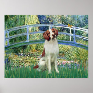 Poster Brittany Spaniel 3 - Pont du bassin aux nymphéas