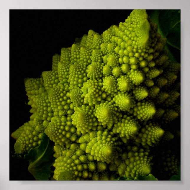 Poster Brocoli (Devant)