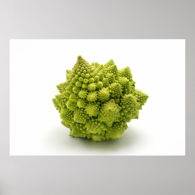 Poster Brocoli Romanesco (Devant)